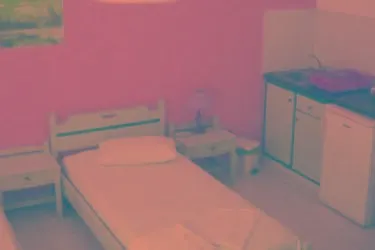 Rena Hotel Cos